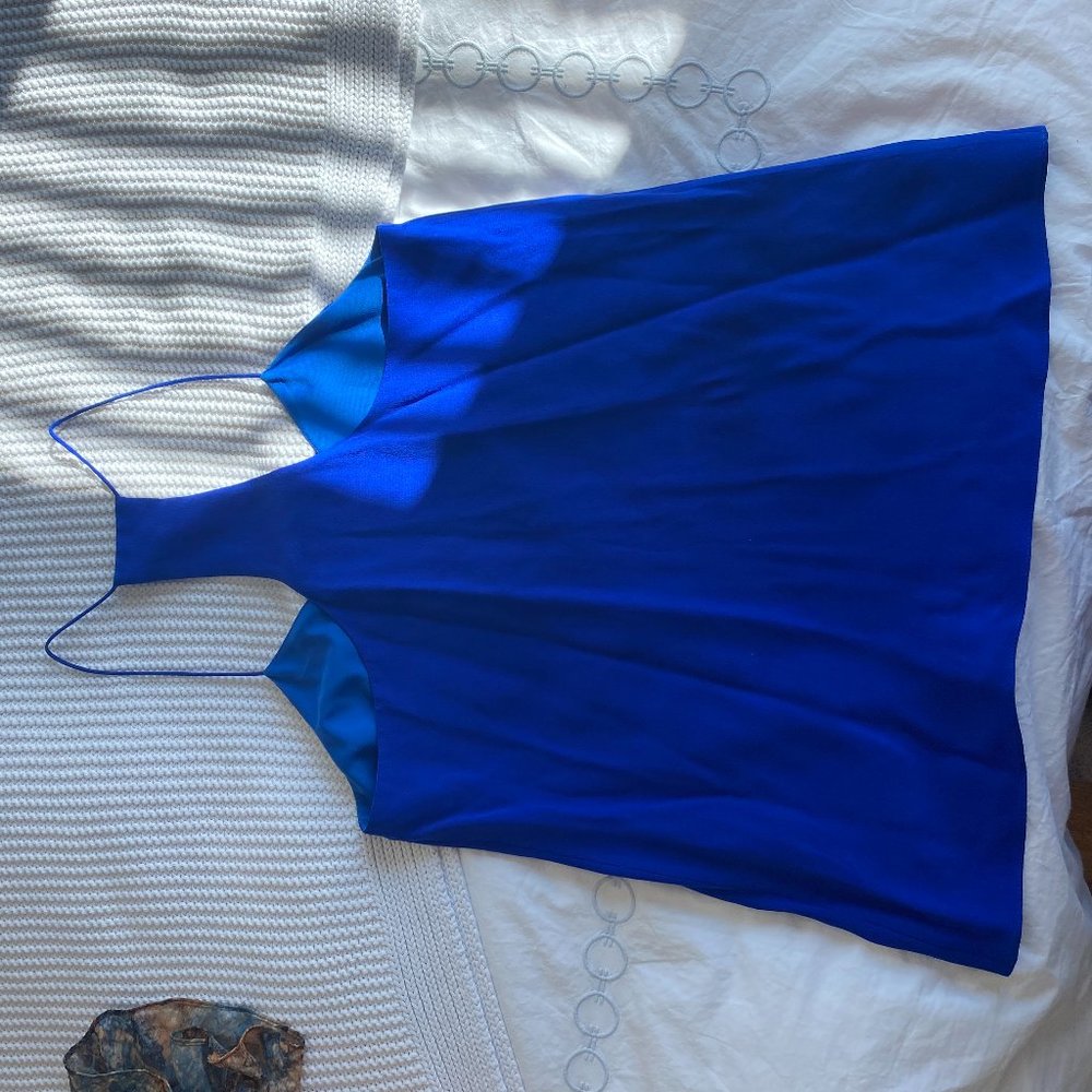 Tibi Blue Silk Top